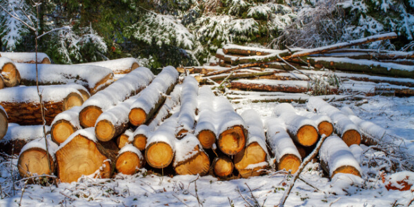 Forstgemeinschaft Saar - Holz mit Schnee